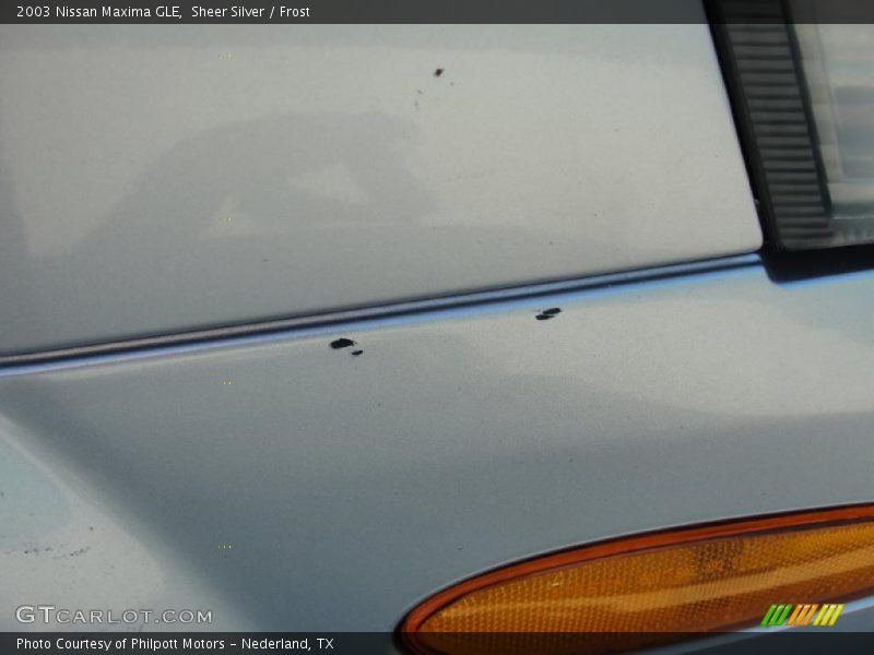 Sheer Silver / Frost 2003 Nissan Maxima GLE