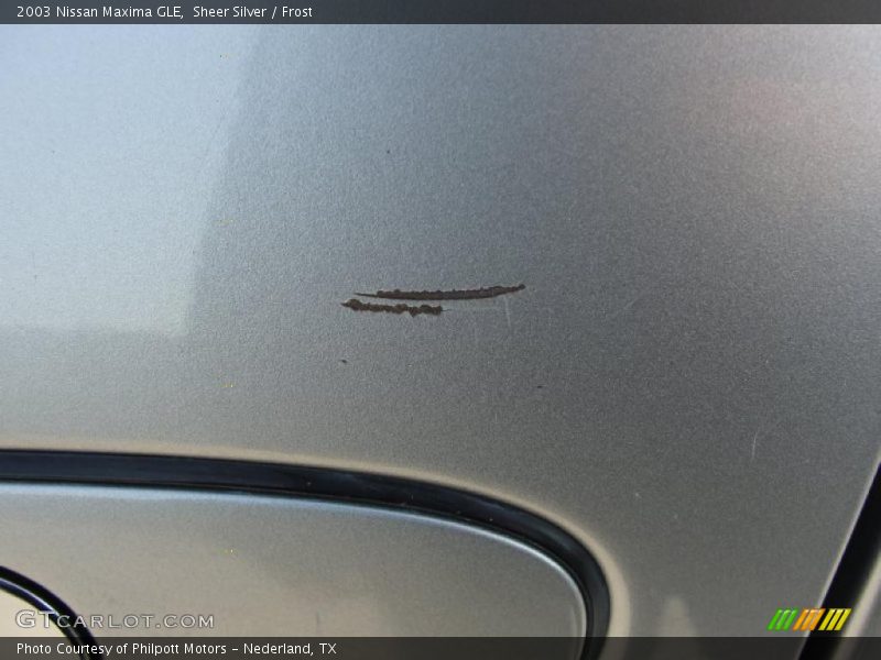 Sheer Silver / Frost 2003 Nissan Maxima GLE