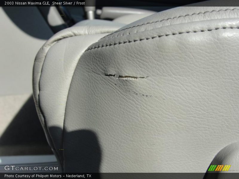 Sheer Silver / Frost 2003 Nissan Maxima GLE
