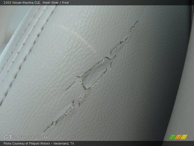 Sheer Silver / Frost 2003 Nissan Maxima GLE