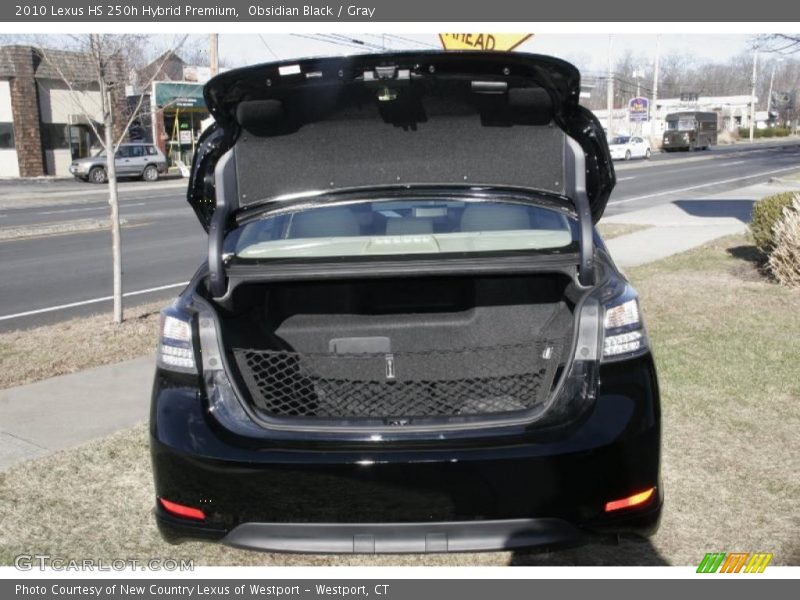 Obsidian Black / Gray 2010 Lexus HS 250h Hybrid Premium