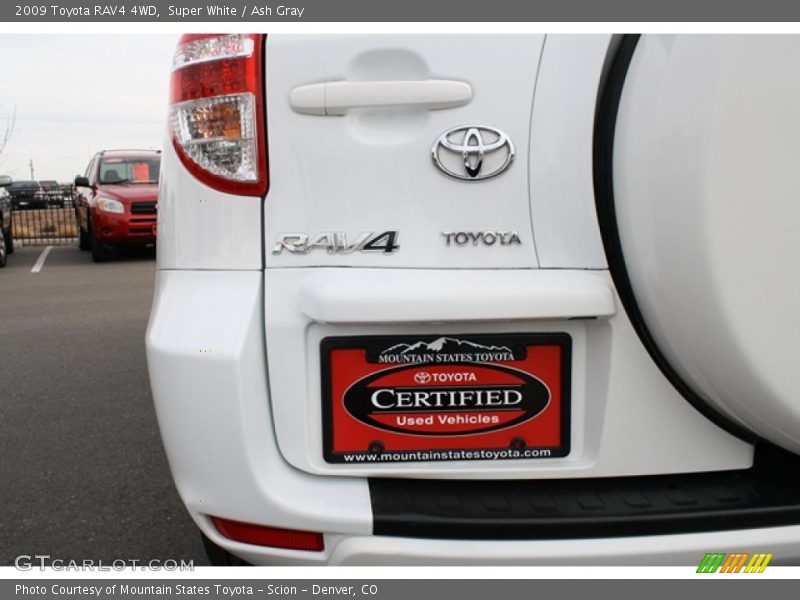 Super White / Ash Gray 2009 Toyota RAV4 4WD