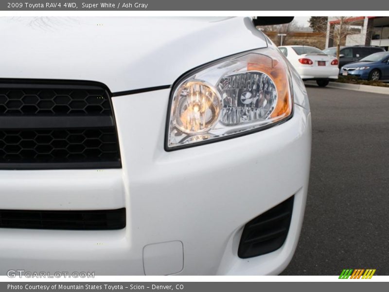 Super White / Ash Gray 2009 Toyota RAV4 4WD