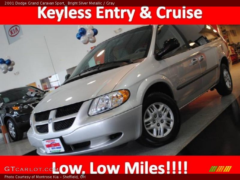 Bright Silver Metallic / Gray 2001 Dodge Grand Caravan Sport