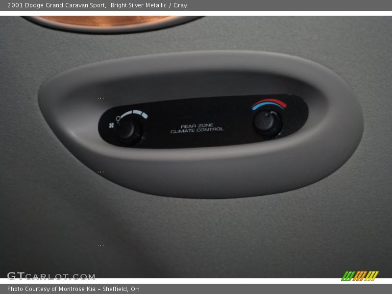 Bright Silver Metallic / Gray 2001 Dodge Grand Caravan Sport