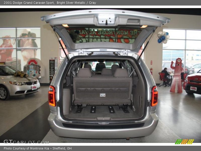 Bright Silver Metallic / Gray 2001 Dodge Grand Caravan Sport