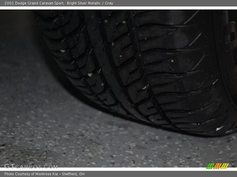 Bright Silver Metallic / Gray 2001 Dodge Grand Caravan Sport