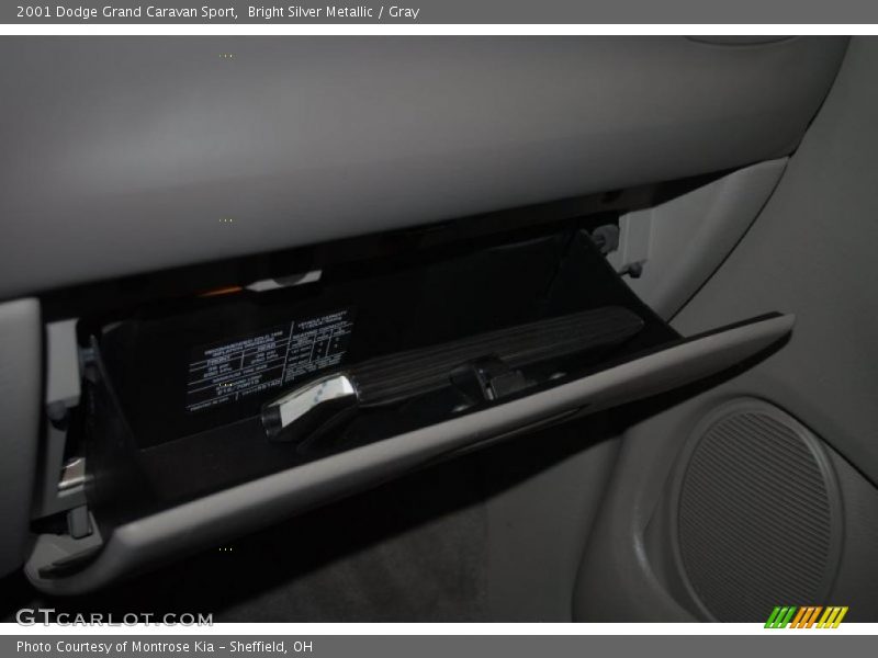 Bright Silver Metallic / Gray 2001 Dodge Grand Caravan Sport