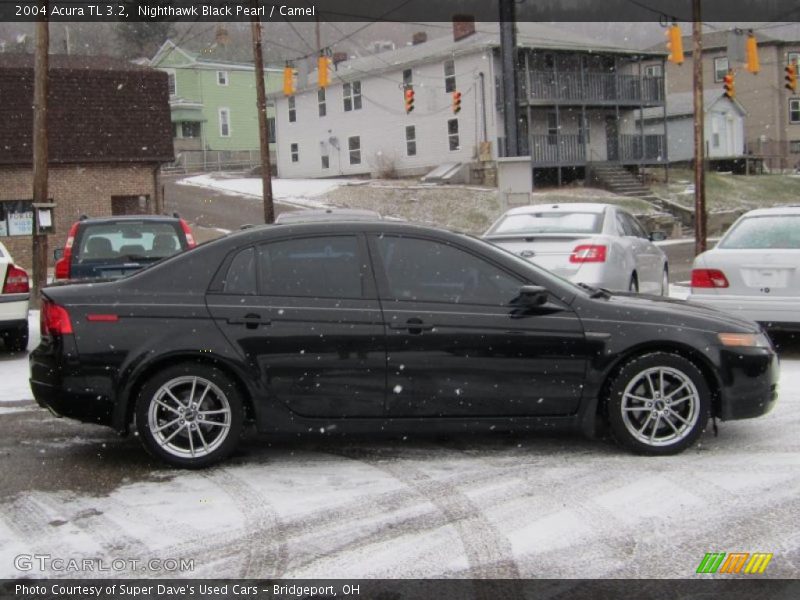 Nighthawk Black Pearl / Camel 2004 Acura TL 3.2