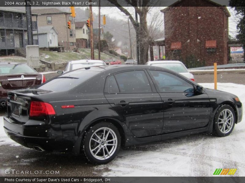 Nighthawk Black Pearl / Camel 2004 Acura TL 3.2