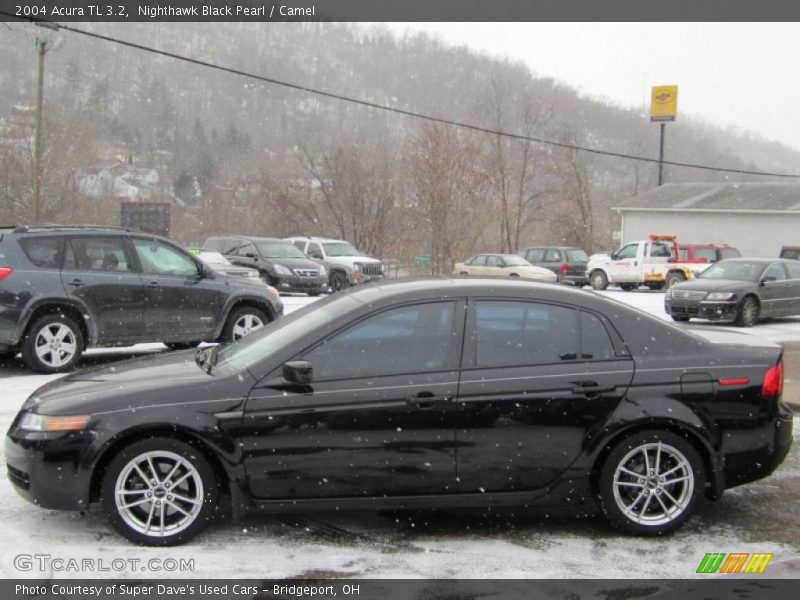 Nighthawk Black Pearl / Camel 2004 Acura TL 3.2
