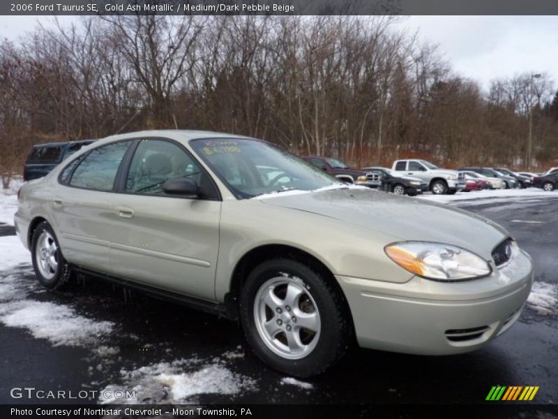 Gold Ash Metallic / Medium/Dark Pebble Beige 2006 Ford Taurus SE