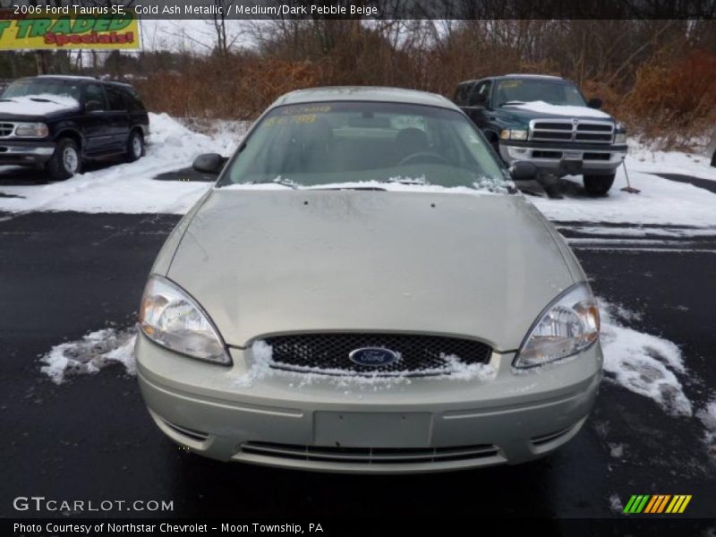 Gold Ash Metallic / Medium/Dark Pebble Beige 2006 Ford Taurus SE