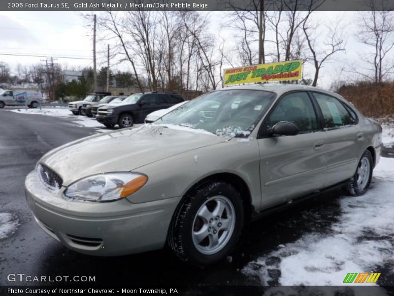 Gold Ash Metallic / Medium/Dark Pebble Beige 2006 Ford Taurus SE