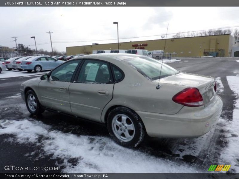 Gold Ash Metallic / Medium/Dark Pebble Beige 2006 Ford Taurus SE