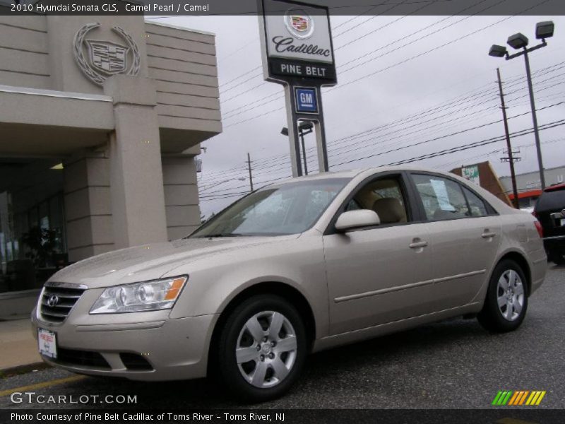 Camel Pearl / Camel 2010 Hyundai Sonata GLS