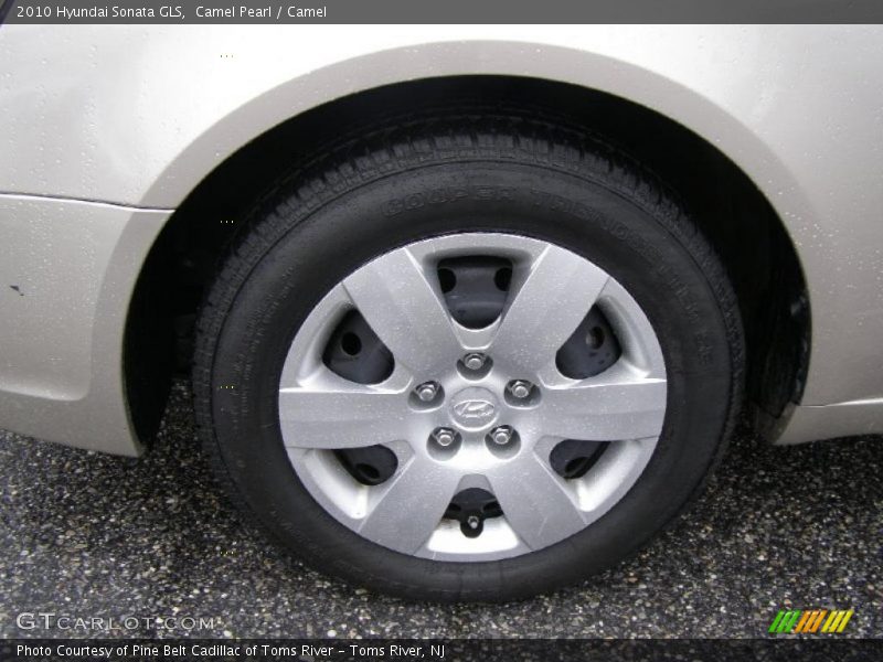Camel Pearl / Camel 2010 Hyundai Sonata GLS