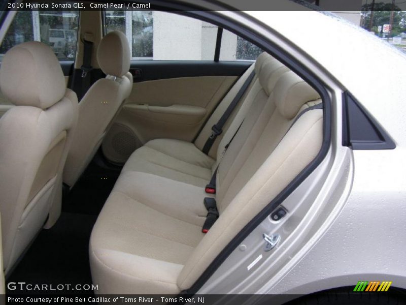 Camel Pearl / Camel 2010 Hyundai Sonata GLS