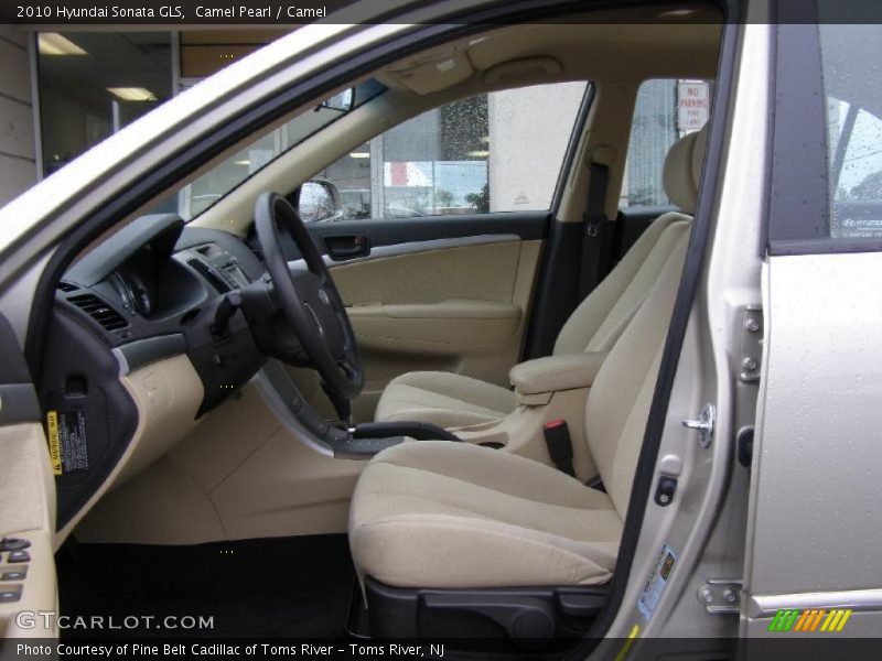 Camel Pearl / Camel 2010 Hyundai Sonata GLS