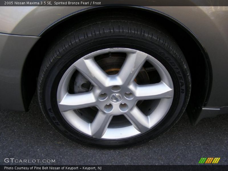Spirited Bronze Pearl / Frost 2005 Nissan Maxima 3.5 SE