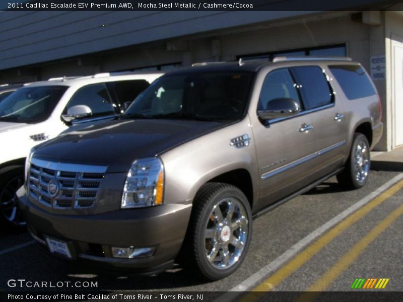 Mocha Steel Metallic / Cashmere/Cocoa 2011 Cadillac Escalade ESV Premium AWD