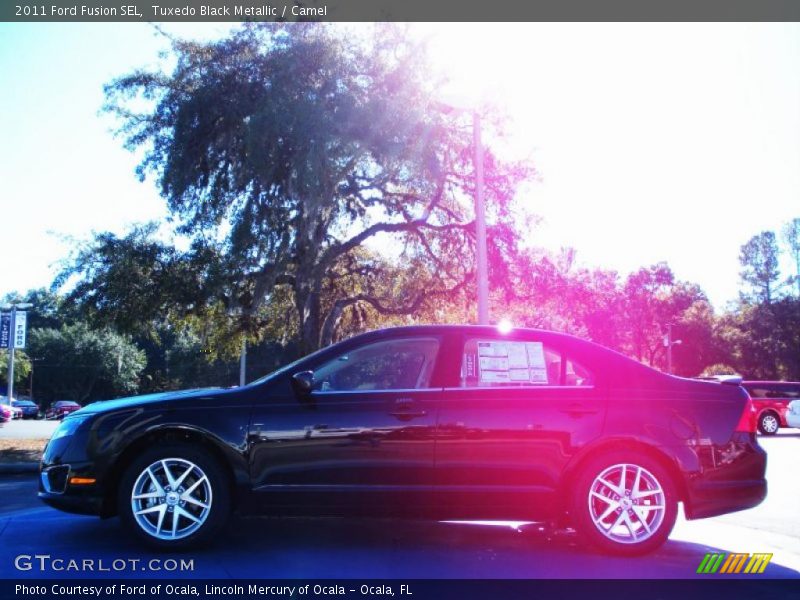 Tuxedo Black Metallic / Camel 2011 Ford Fusion SEL