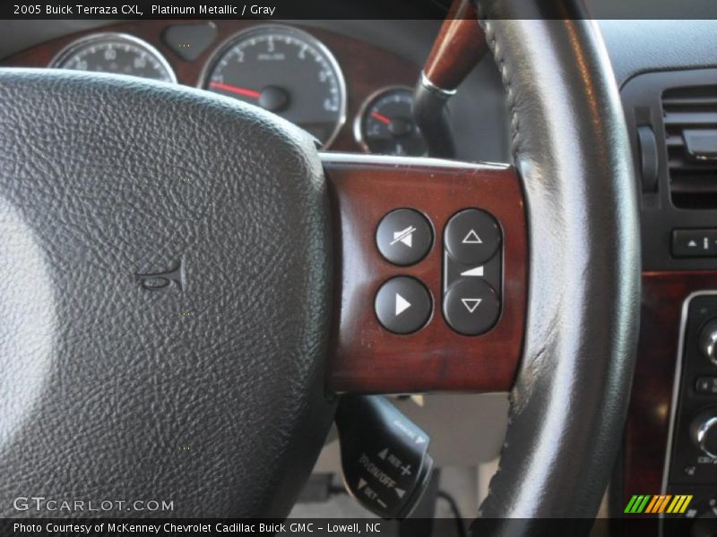 Platinum Metallic / Gray 2005 Buick Terraza CXL