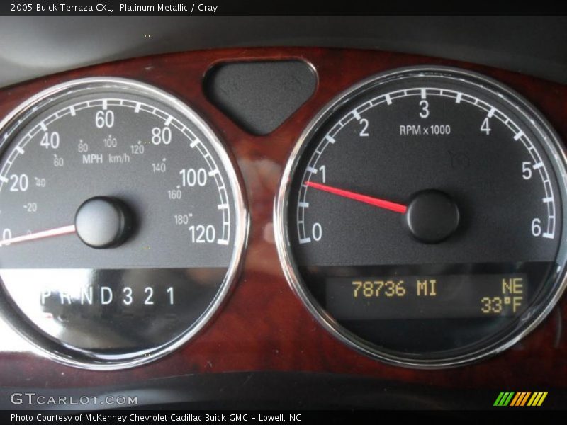 Platinum Metallic / Gray 2005 Buick Terraza CXL