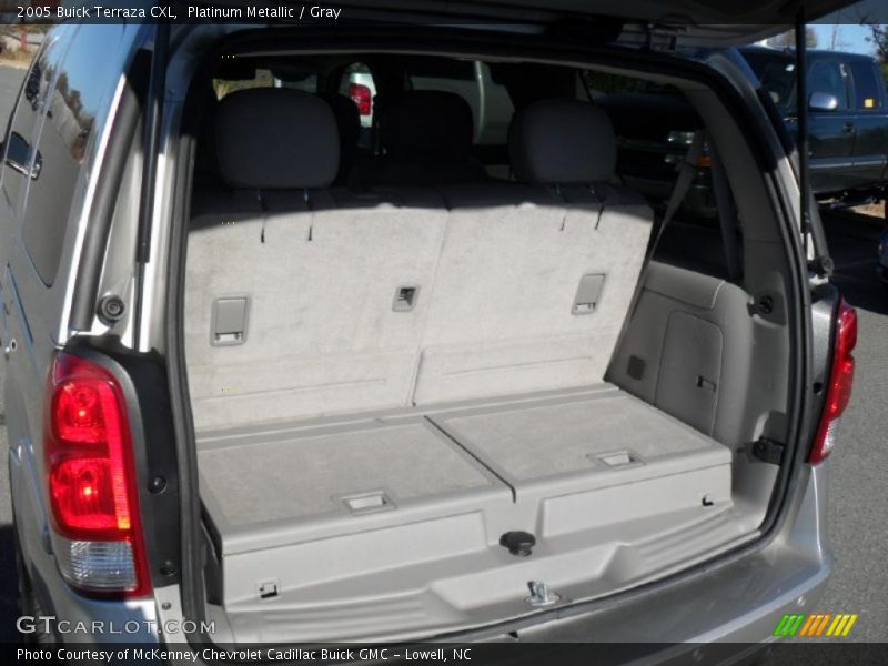 Platinum Metallic / Gray 2005 Buick Terraza CXL