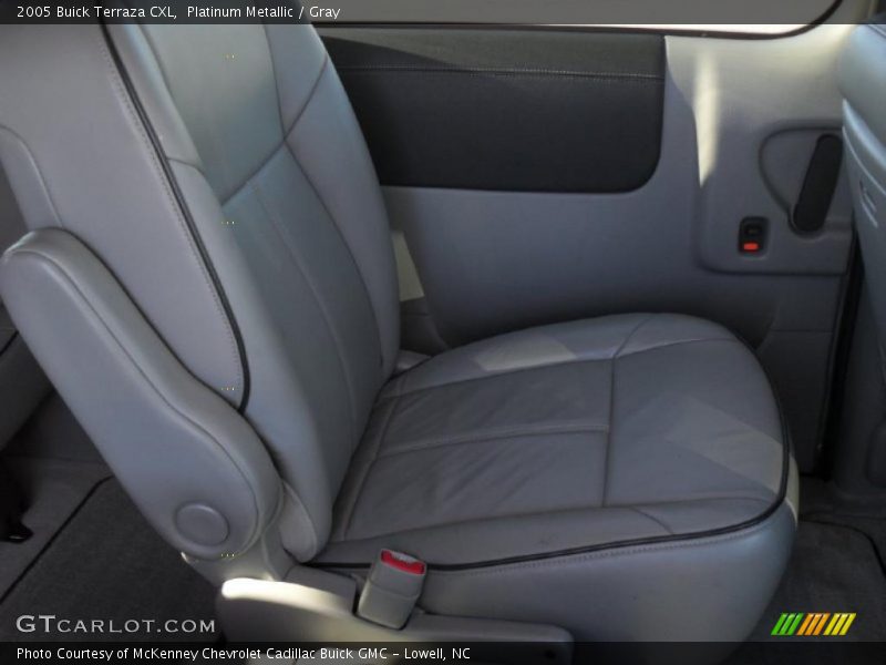 Platinum Metallic / Gray 2005 Buick Terraza CXL