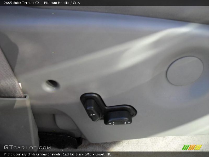 Platinum Metallic / Gray 2005 Buick Terraza CXL