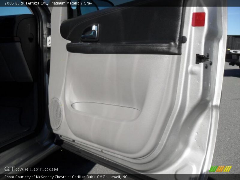 Platinum Metallic / Gray 2005 Buick Terraza CXL