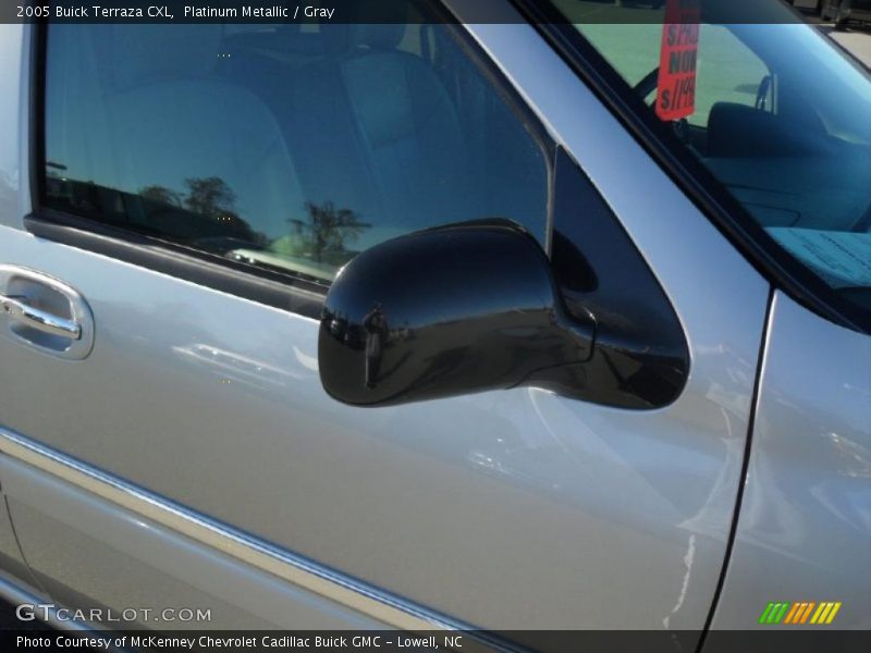 Platinum Metallic / Gray 2005 Buick Terraza CXL