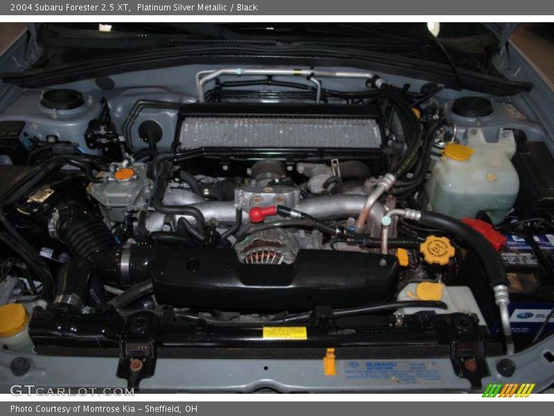 2004 Forester 2.5 XT Engine - 2.5 Liter Turbocharged DOHC 16-Valve Flat 4 Cylinder