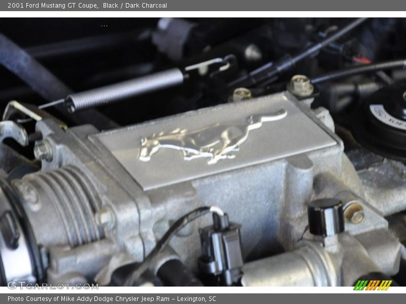 Black / Dark Charcoal 2001 Ford Mustang GT Coupe