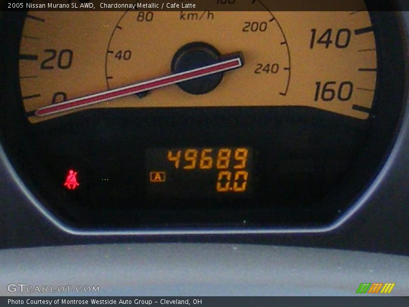 Chardonnay Metallic / Cafe Latte 2005 Nissan Murano SL AWD