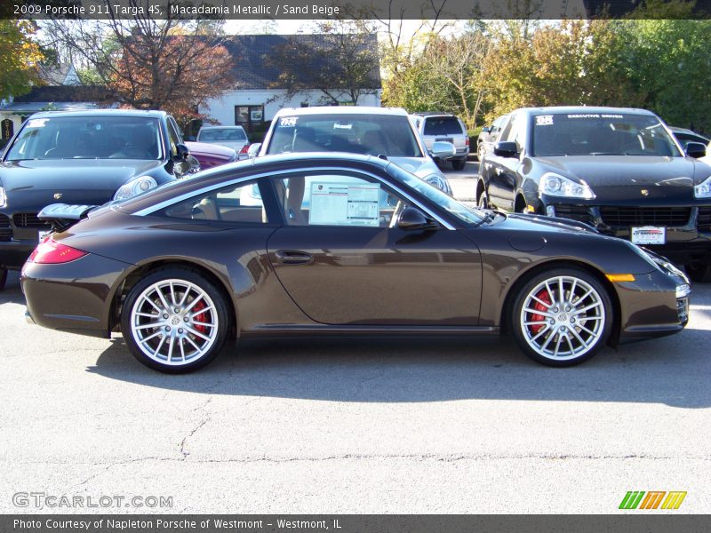 Macadamia Metallic / Sand Beige 2009 Porsche 911 Targa 4S