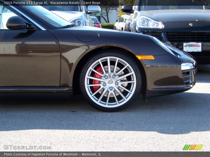 Macadamia Metallic / Sand Beige 2009 Porsche 911 Targa 4S