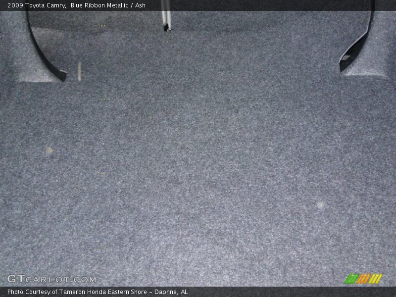 Blue Ribbon Metallic / Ash 2009 Toyota Camry