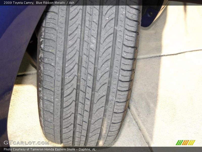 Blue Ribbon Metallic / Ash 2009 Toyota Camry