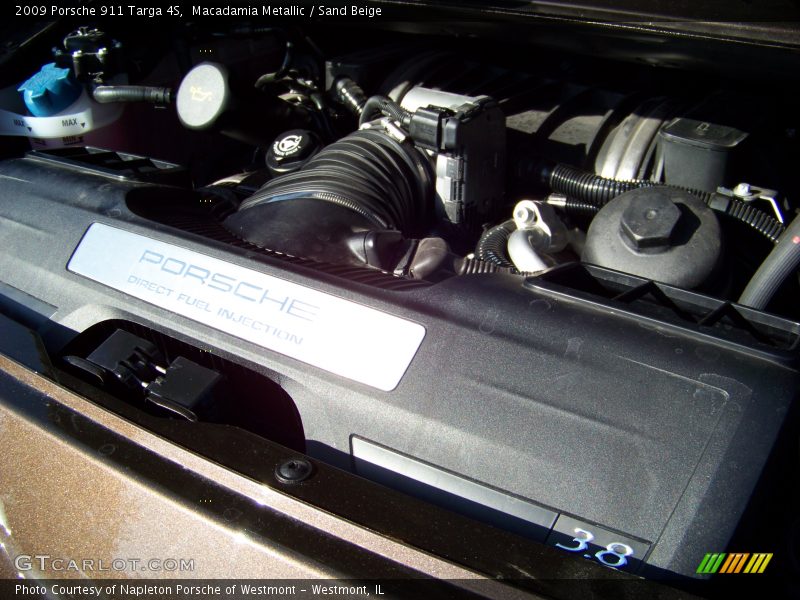 Macadamia Metallic / Sand Beige 2009 Porsche 911 Targa 4S