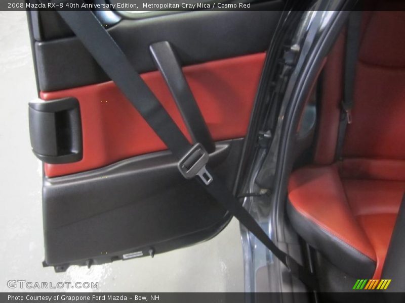 Door Panel of 2008 RX-8 40th Anniversary Edition