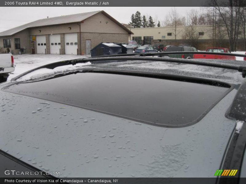 Everglade Metallic / Ash 2006 Toyota RAV4 Limited 4WD