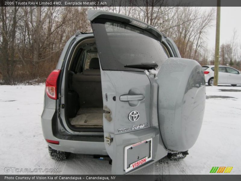 Everglade Metallic / Ash 2006 Toyota RAV4 Limited 4WD