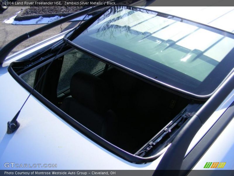 Zambezi Silver Metallic / Black 2004 Land Rover Freelander HSE