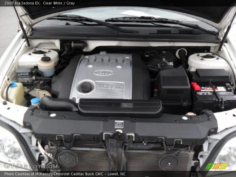 Clear White / Gray 2005 Kia Sedona EX