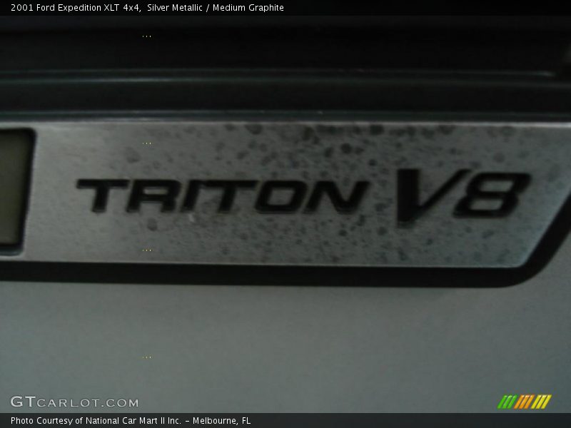Silver Metallic / Medium Graphite 2001 Ford Expedition XLT 4x4