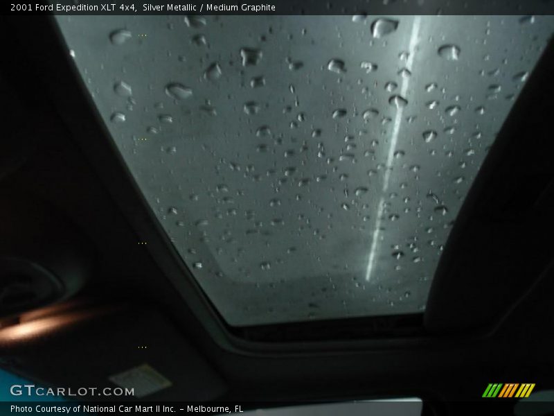 Silver Metallic / Medium Graphite 2001 Ford Expedition XLT 4x4