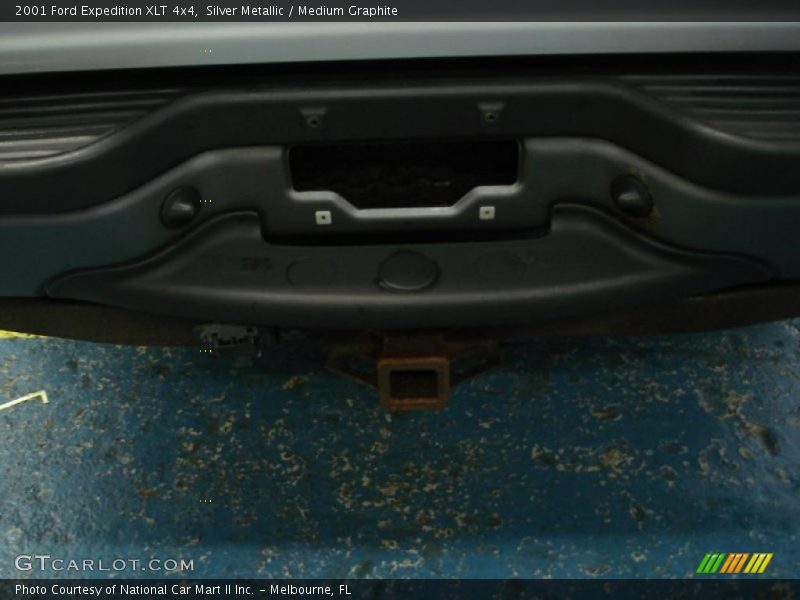 Silver Metallic / Medium Graphite 2001 Ford Expedition XLT 4x4