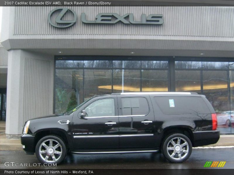Black Raven / Ebony/Ebony 2007 Cadillac Escalade ESV AWD